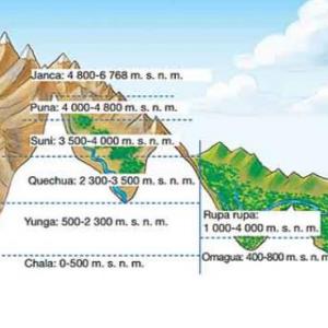 Los ocho pisos altitudinales